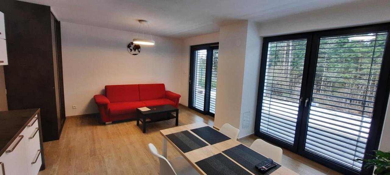 Apartmany Aktiv Lipno ليبنو ناد فلتافو المظهر الخارجي الصورة