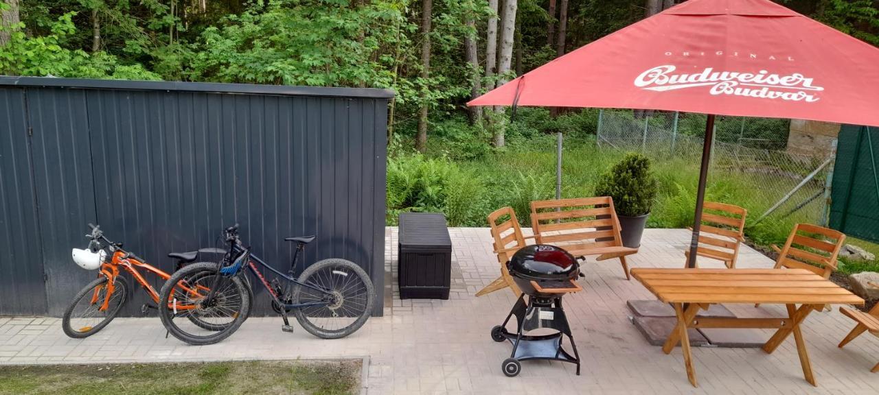 Apartmany Aktiv Lipno ليبنو ناد فلتافو المظهر الخارجي الصورة